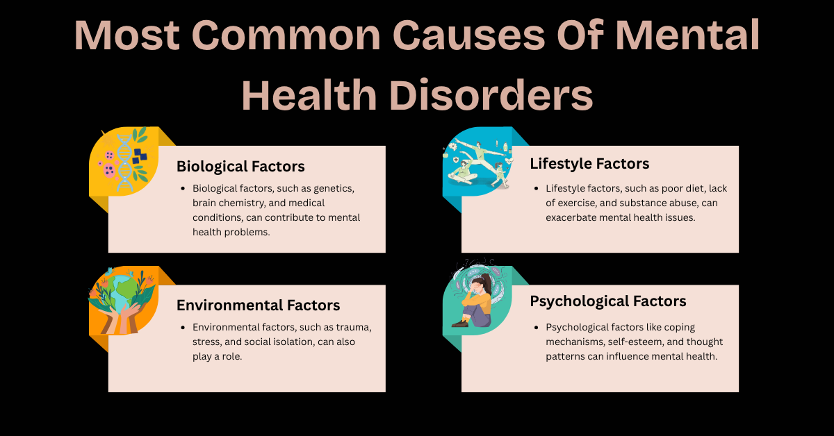 Infographic displaying the most common causes of mental health disorders including biological, psychological, and environmental factors.